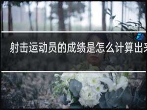 射击运动员的成绩是怎么计算出来的