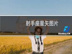 射手座星矢图片