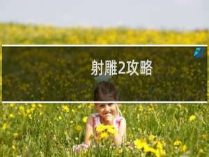 射雕2攻略
