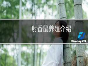 射香鼠养殖介绍