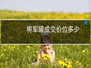 将军罐成交价位多少