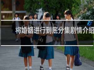 将婚姻进行到底分集剧情介绍