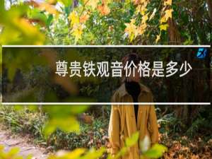 尊贵铁观音价格是多少