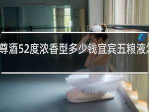 尊酒52度浓香型多少钱宜宾五粮液怎么样