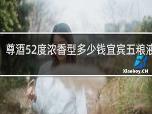 尊酒52度浓香型多少钱宜宾五粮液111