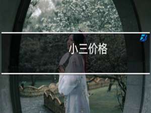 小三价格
