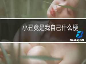 小丑竟是我自己什么梗，小丑竟是我自己是什么意思？什么梗