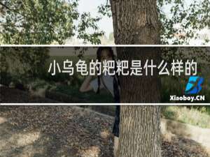 小乌龟的粑粑是什么样的