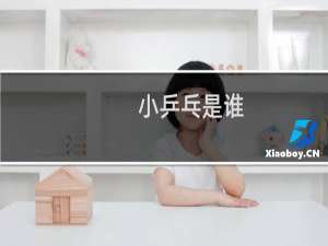小乒乓是谁