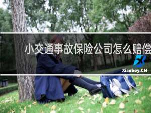 小交通事故保险公司怎么赔偿