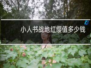 小人书战地红缨值多少钱