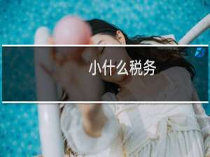 小什么税务