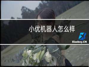 小优机器人怎么样