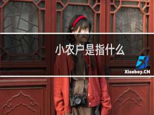 小农户是指什么