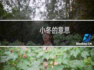 小冬的意思（大冬小冬是什么意思）