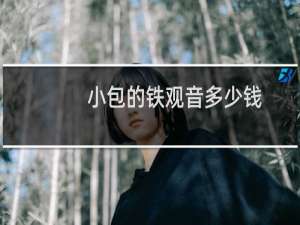 小包的铁观音多少钱
