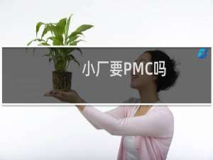 小厂要PMC吗