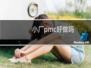 小厂pmc好做吗