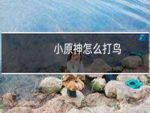 小原神怎么打鸟