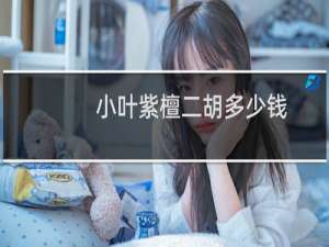 小叶紫檀二胡多少钱