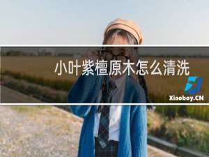小叶紫檀原木怎么清洗