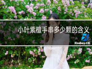 小叶紫檀手串多少颗的含义