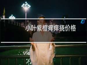 小叶紫檀痒痒挠价格