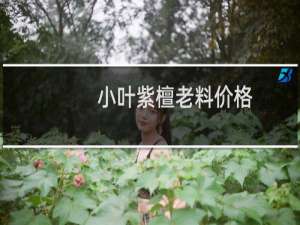 小叶紫檀老料价格