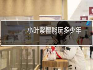 小叶紫檀能玩多少年