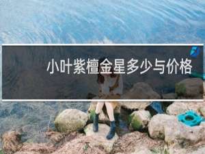 小叶紫檀金星多少与价格