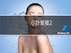 小叶紫檀2.0手串多少钱