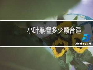 小叶黑檀多少颗合适