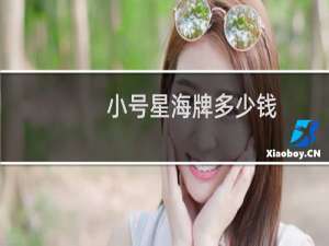 小号星海牌多少钱
