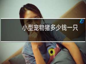 小型宠物猪多少钱一只