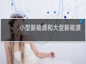 小型新能源和大型新能源区别
