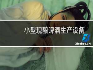 小型现酿啤酒生产设备