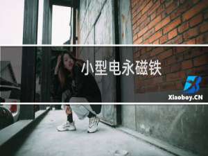 小型电永磁铁