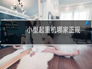 小型起重机哪家正规