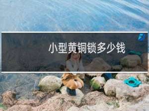 小型黄铜锁多少钱