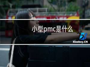 小型pmc是什么