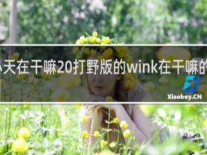 小天在干嘛 打野版的wink在干嘛的什么梗