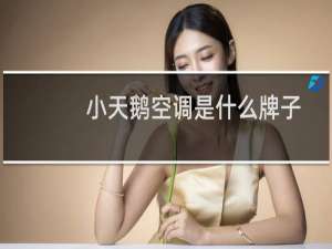 小天鹅空调是什么牌子