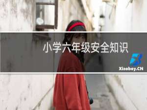 小学六年级安全知识