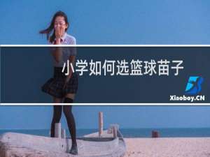 小学如何选篮球苗子