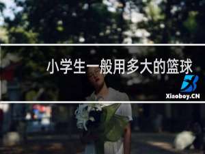 小学生一般用多大的篮球