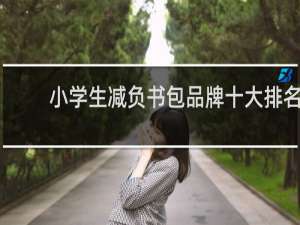 小学生减负书包品牌十大排名