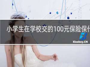 小学生在学校交的100元保险保什么