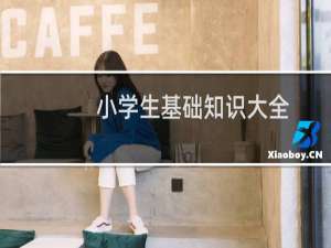 小学生基础知识大全