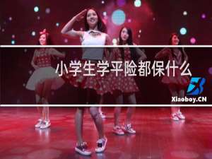 小学生学平险都保什么