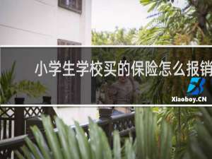 小学生学校买的保险怎么报销